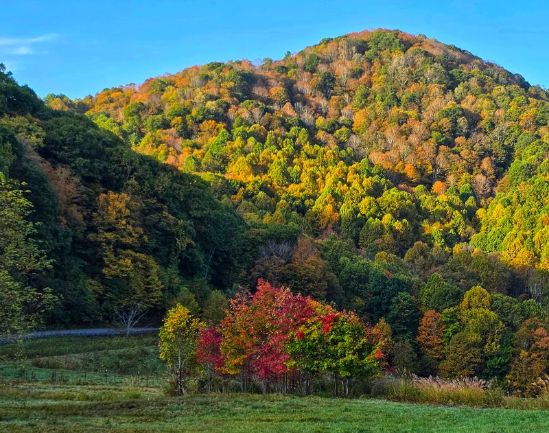 Cherokee National Forest