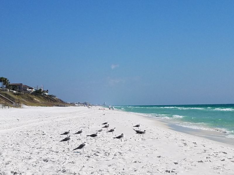 Blue Mountain Beach (30A area) 