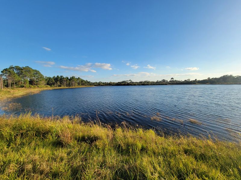 Why Sebastian Is Worth the Trip