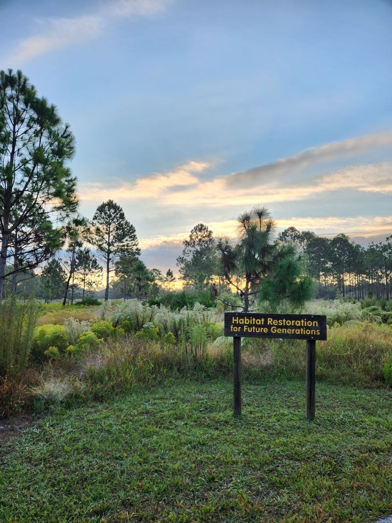 Family Friendly Learning and Play