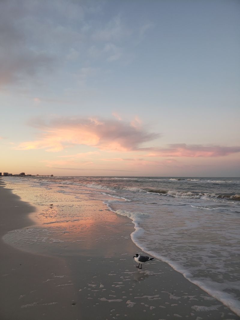 North Clearwater Beach (Residential Areas)