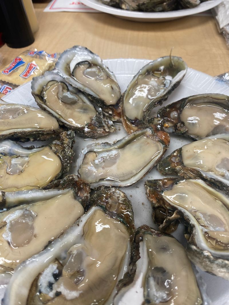 Shell Oyster Bar (Tallahassee)