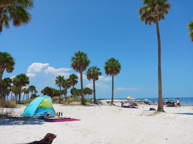 Picnic Shelters and Park Side Shade