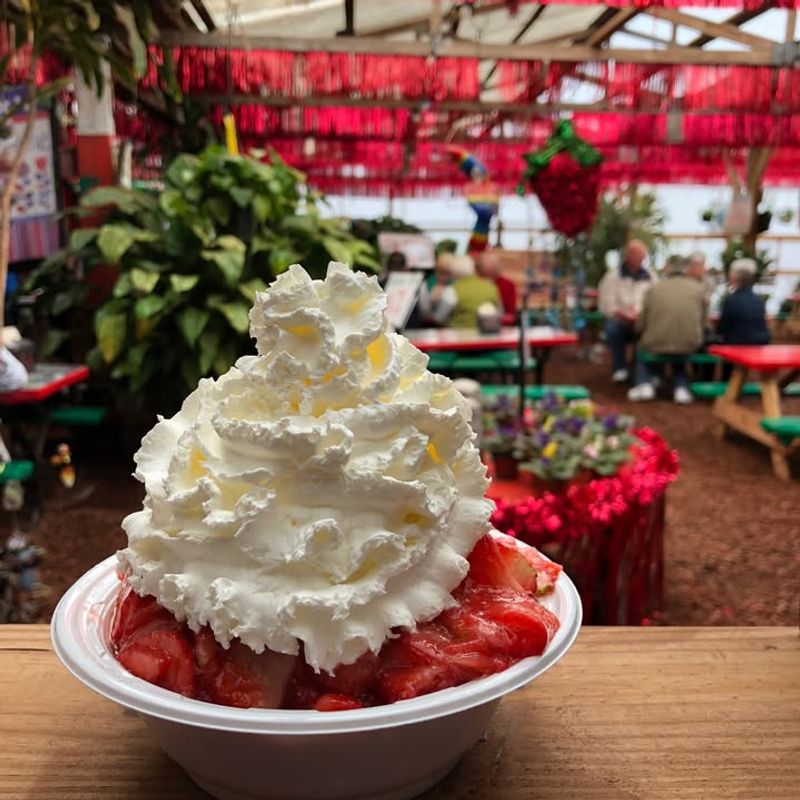 How To Plan Your Visit