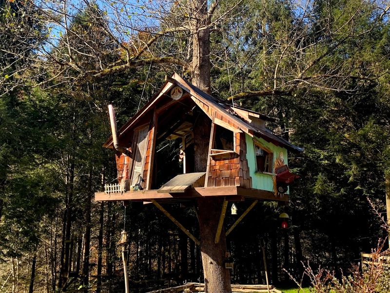 Why Foxfire Adventure Park Belongs on Your Tennessee Bucket List