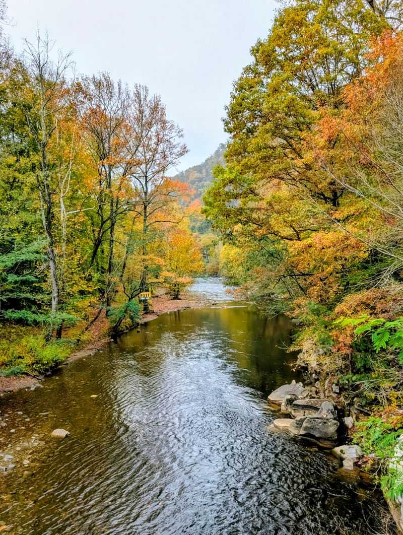 Visit Cades Cove by Car or Bike