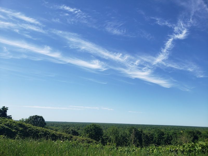Chickasaw National Wildlife Refuge (Ripley)