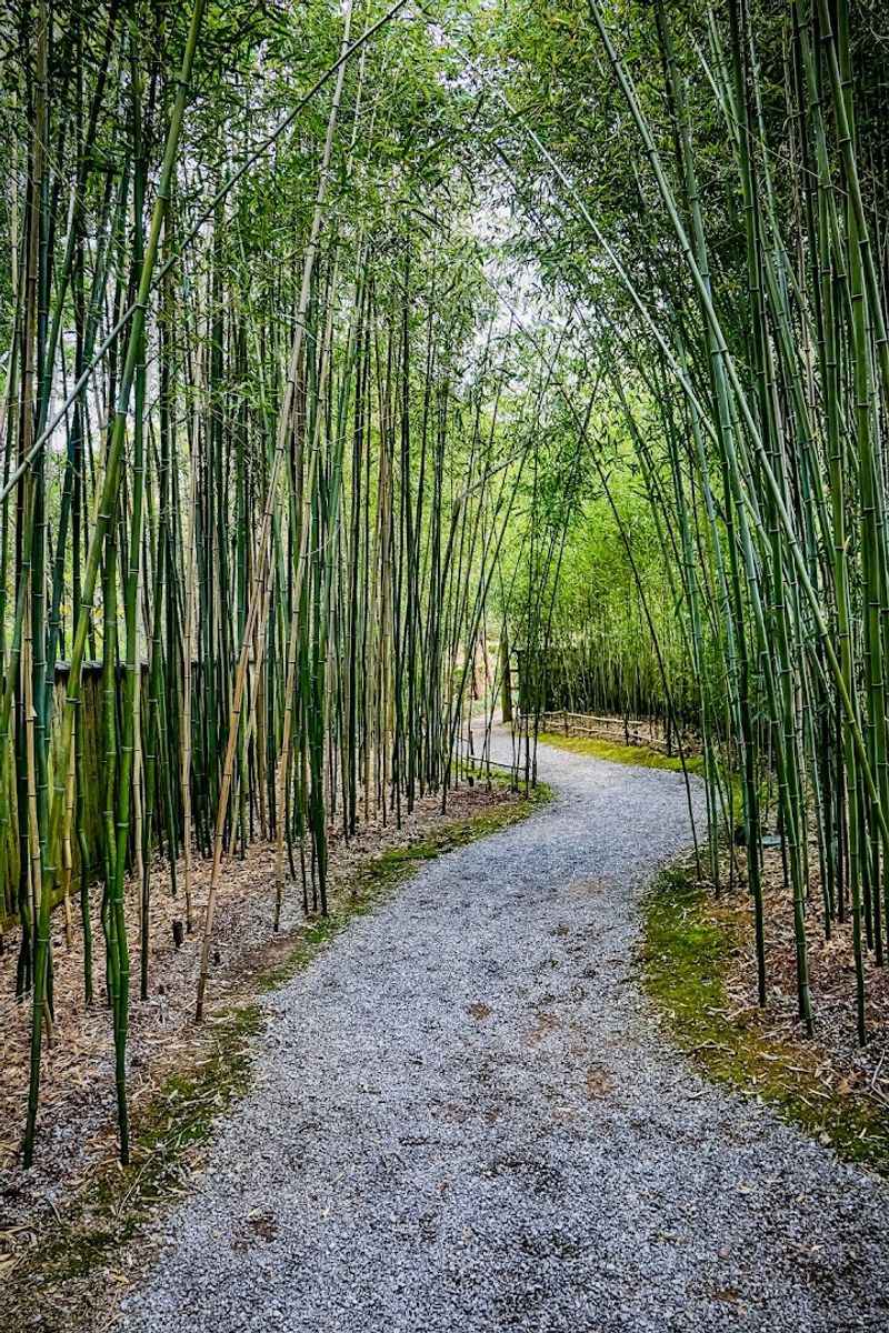 Wandering Through Themed Gardens and Scenic Paths