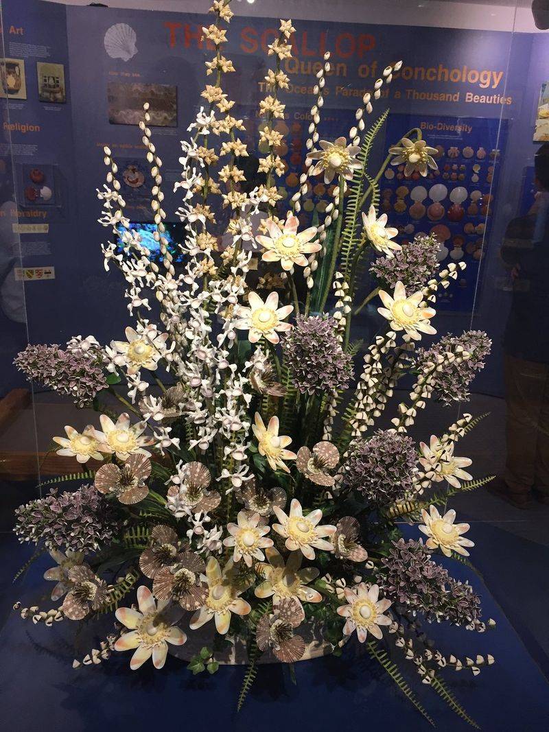 Seahorse and Octopus Talks