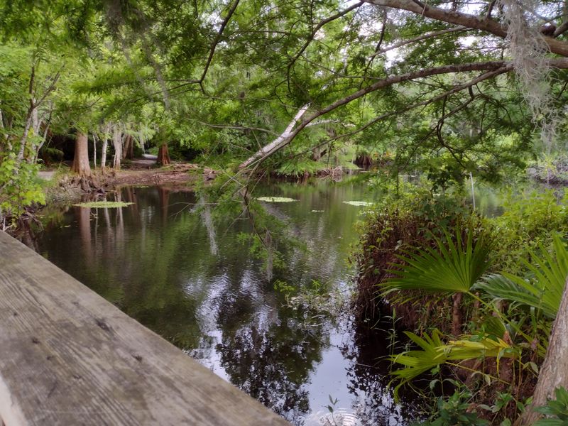 Mead Botanical Garden