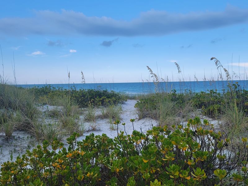 Wildlife Encounters and Protected Habitats