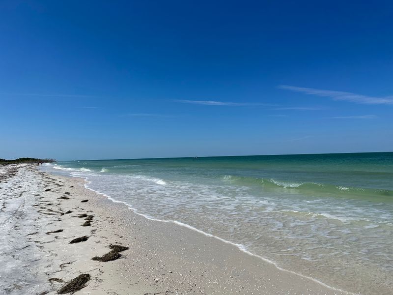 Honeymoon Island’s North End