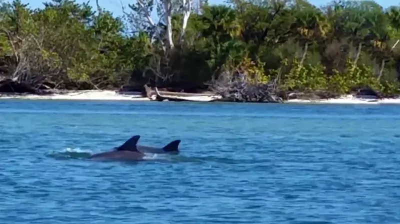 Indian River Lagoon shoreline parks (Brevard & Indian River counties)