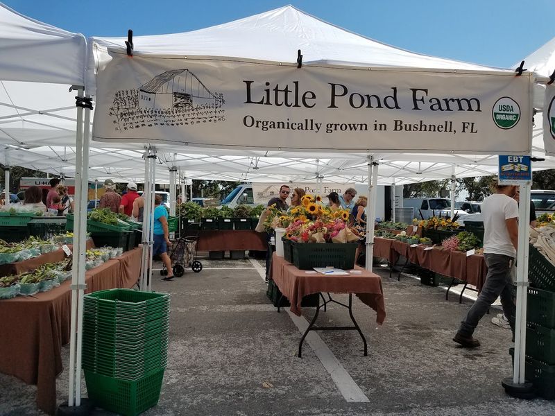 Artisans, Makers, and Local Gifts