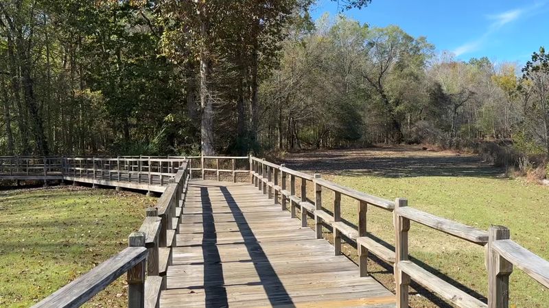 Peterson Lake Boardwalk &mdash; Collierville