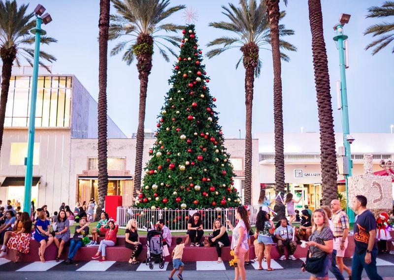 Lincoln Road Holiday Lights