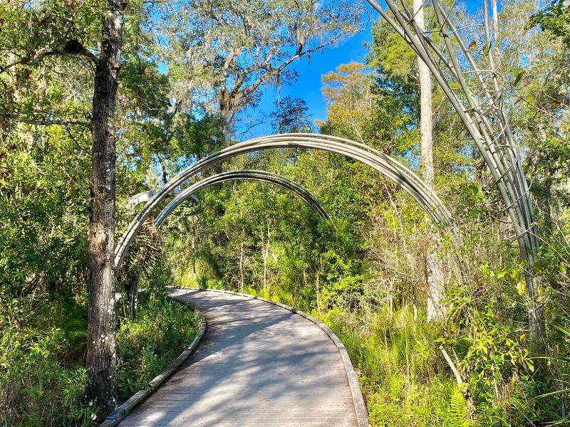 Seasonal Conditions and Safety Tips