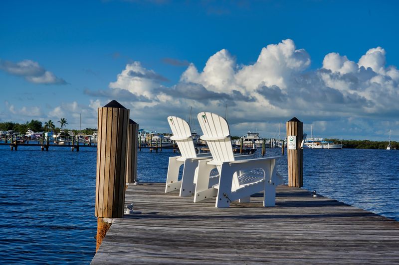 When to Visit Tavernier for the Best Weather and Fewest Crowds