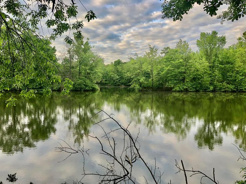 River-Adjacent Value Near Forked Deer