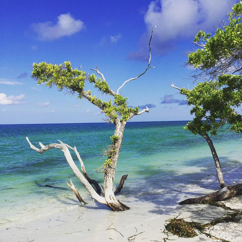 Cayo Costa State Park (Fort Myers area)
