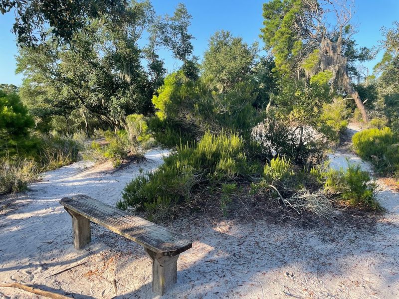 St. Andrews State Park