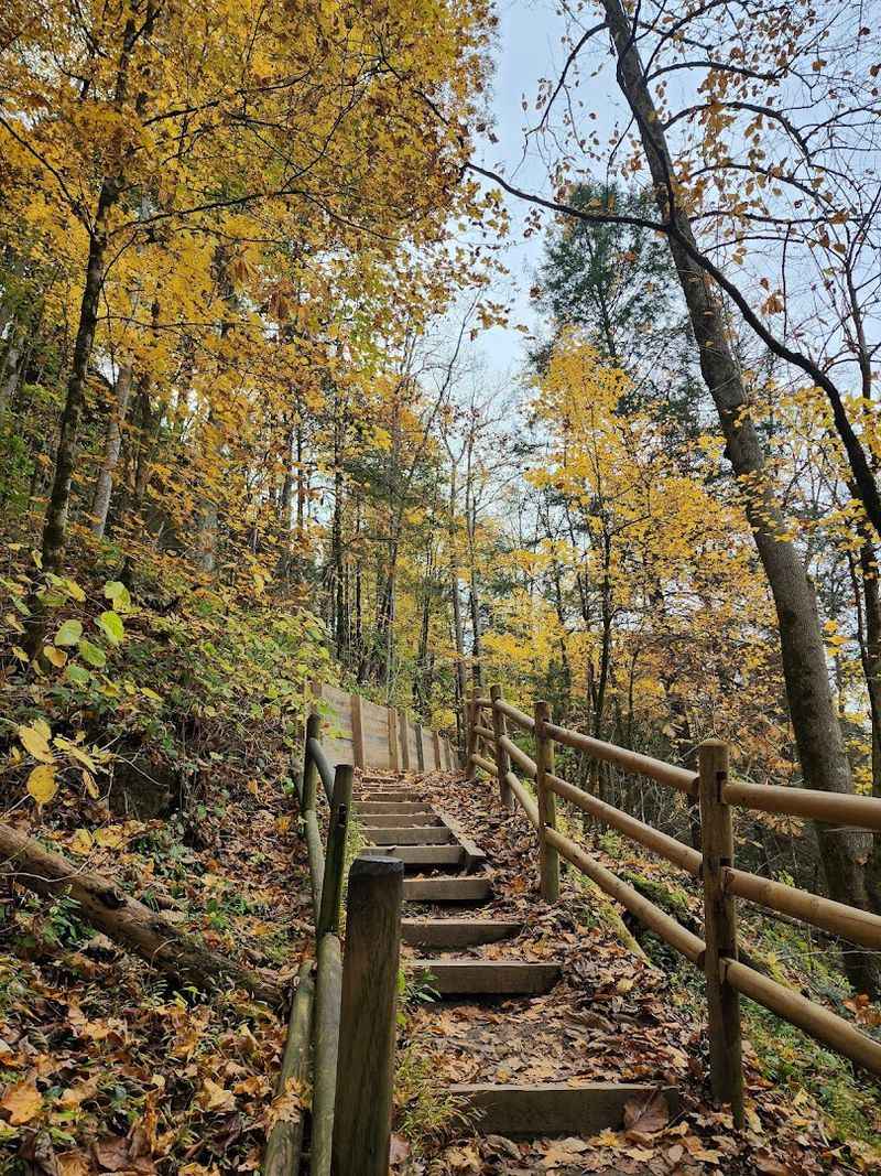 Cummins Falls Gorge Access Trail (Cookeville)