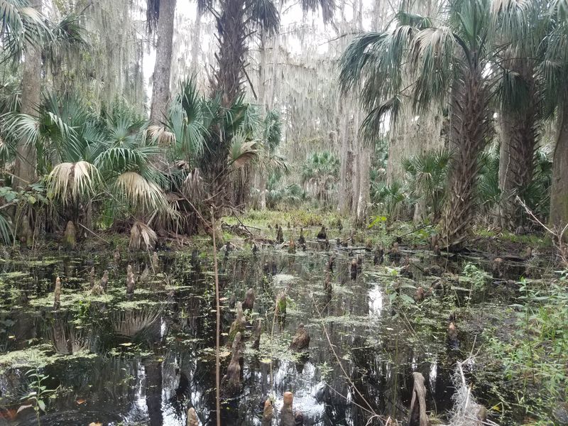 Lake Tohopekaliga (Kissimmee)