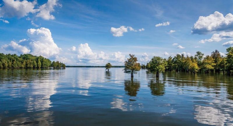 Lake Marion