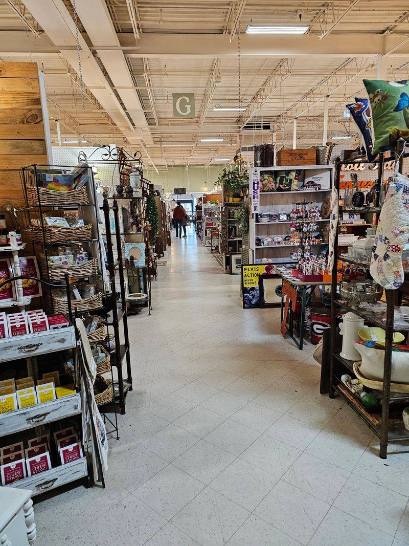 Timing Your Visit Like a Pro