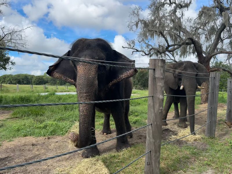 What to Know Before You Go