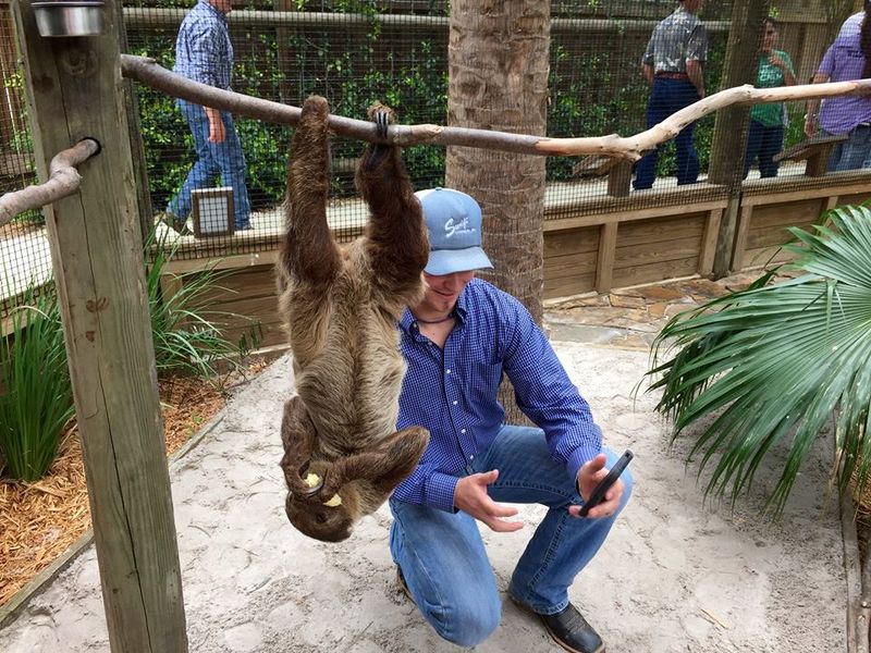 Sloth Encounter at Wild Florida (Kenansville)