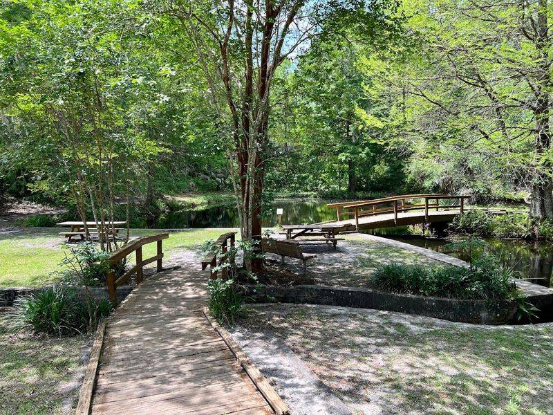 Practical Tips and Best Times to Go