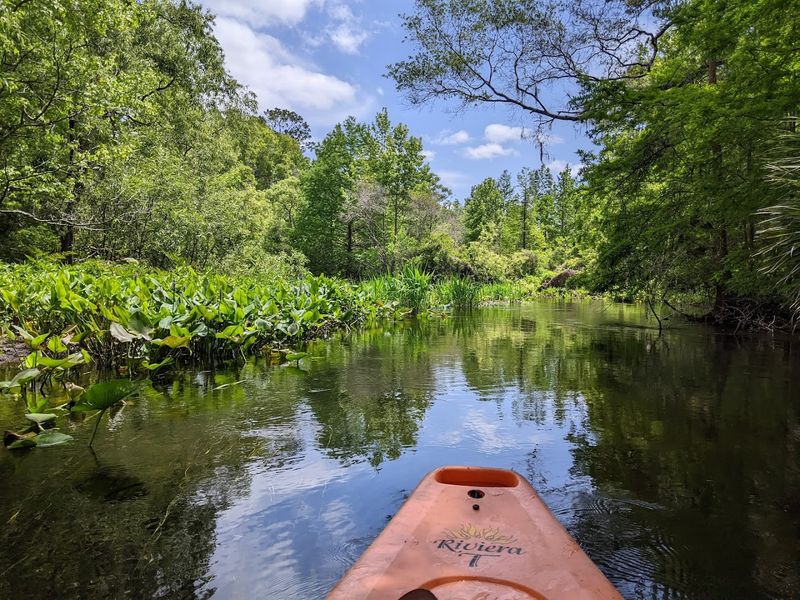 Rentals, BYO Gear, and Launch Details