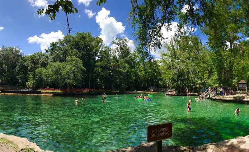 Where the Wekiva River Is (A Surprisingly Wild Escape Near Orlando)