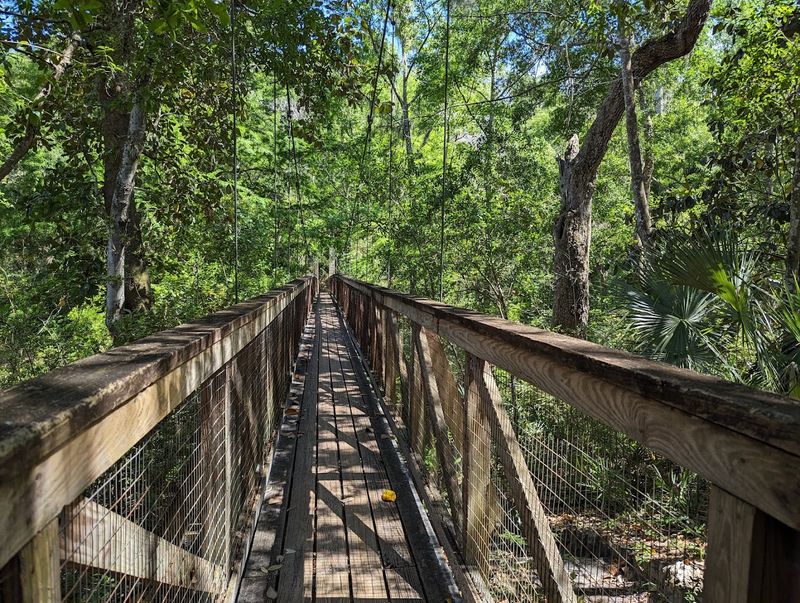 Ravine Loop Trail, Ravine Gardens State Park