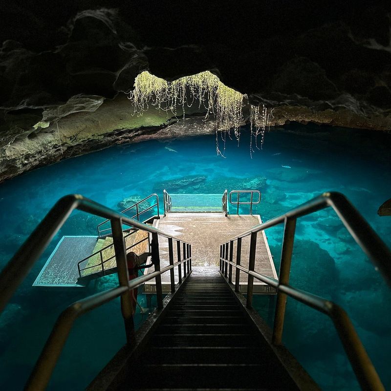 Devil’s Den Prehistoric Spring (Williston)