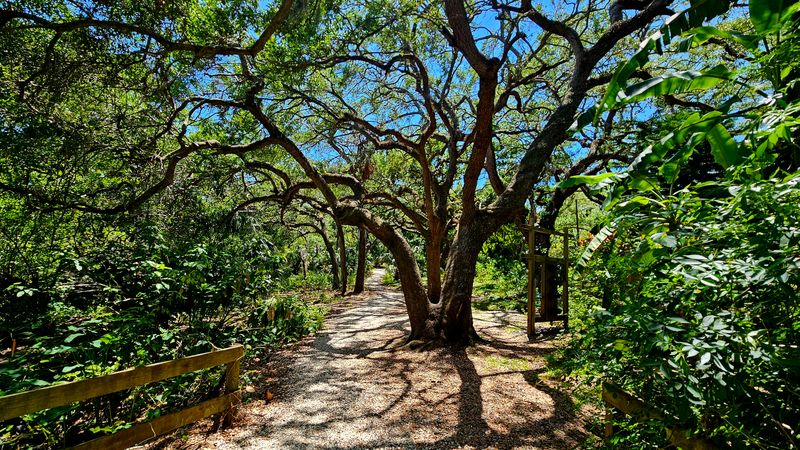 More Than Gnomes: Nature Trails, Wildlife, and Peaceful Views