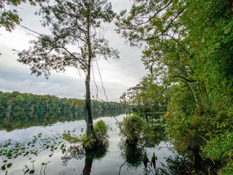 Lower Suwannee National Wildlife Refuge