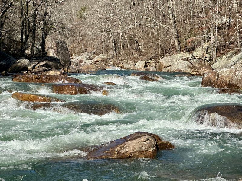 North Chickamauga Creek Gorge State Park (near Chattanooga)