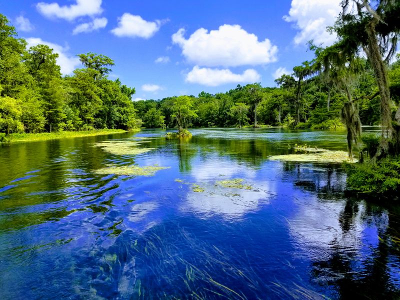 Wakulla Springs (Wakulla Springs area)
