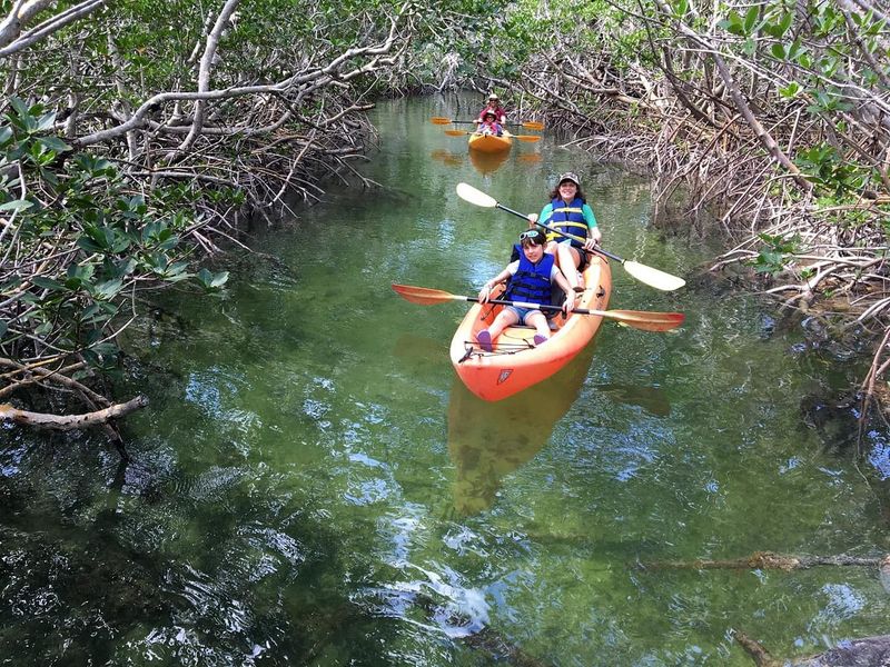Kayaking Through Mangrove Tunnels
