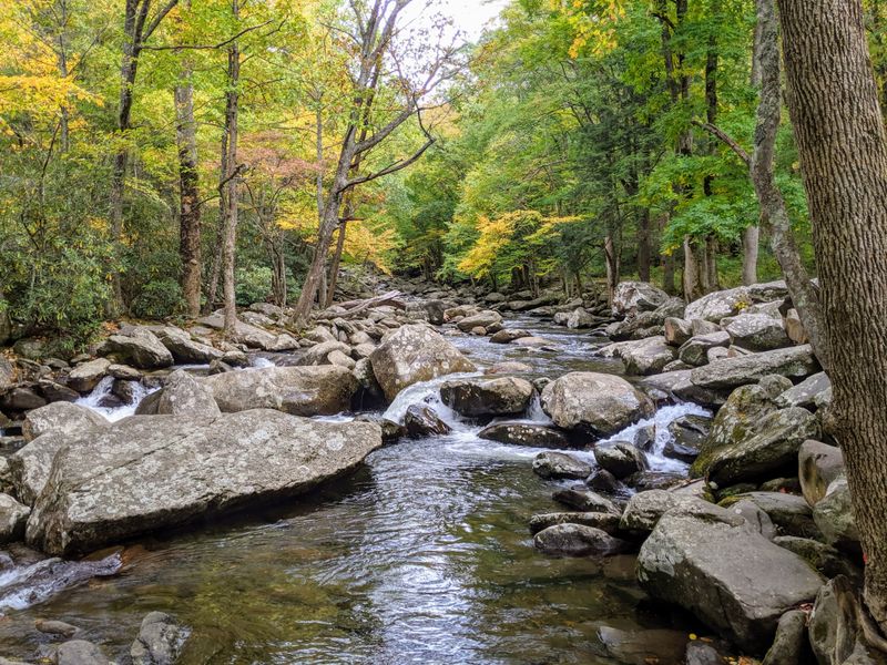 Enjoy a Scenic Picnic