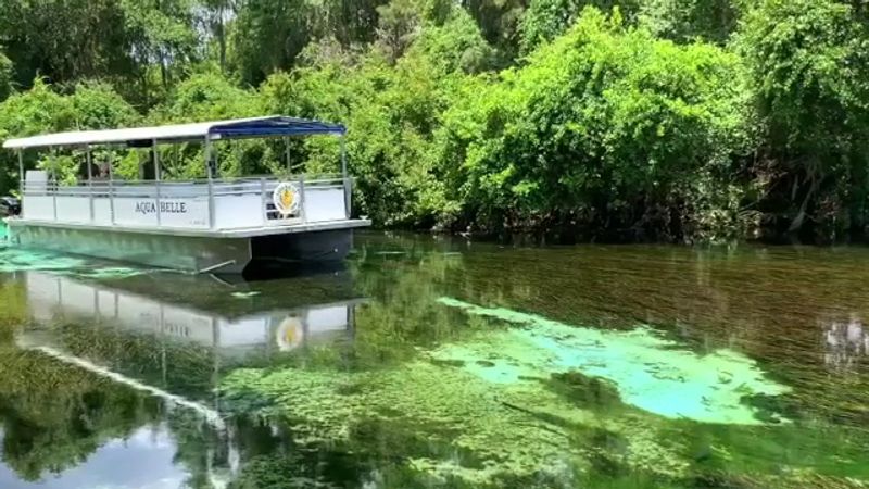 Weeki Wachee Springs State Park (Spring Hill)