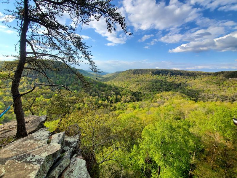 Fall Creek Falls State Park (Spencer)