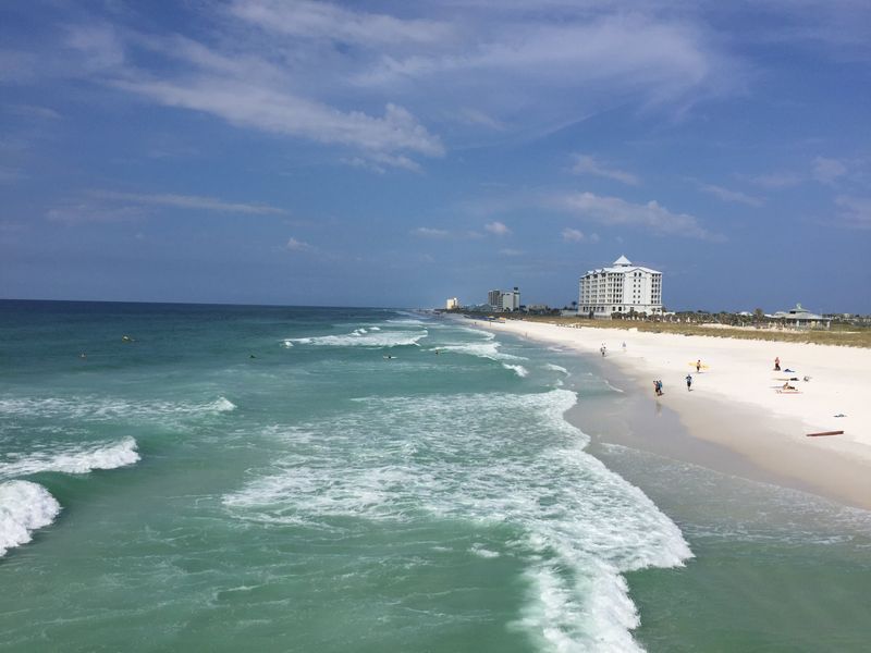 Daybreak Shelling and Dolphin Watching