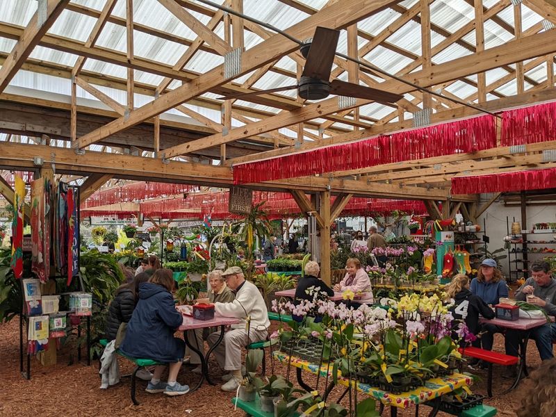 Tropical Gardens and Picnic Vibes