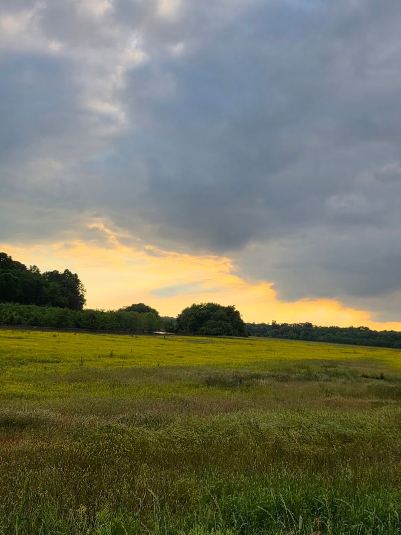 Tennessee National Wildlife Refuge - Duck River Unit &mdash; New Johnsonville