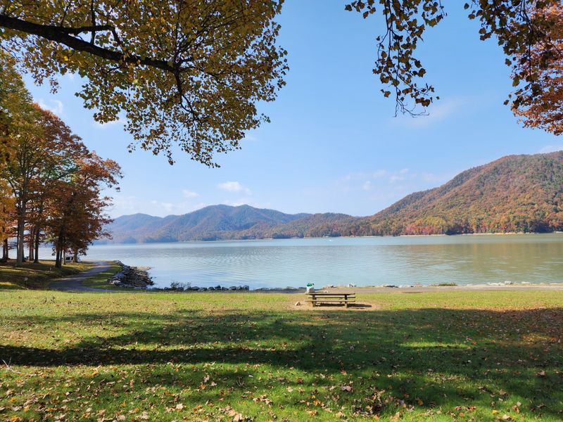 Cherokee National Forest (near the North Carolina border)