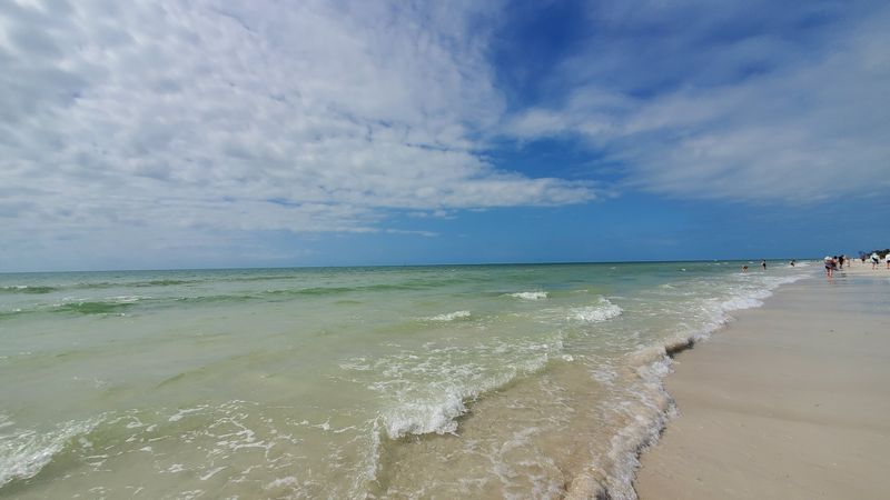 Honeymoon Island State Park
