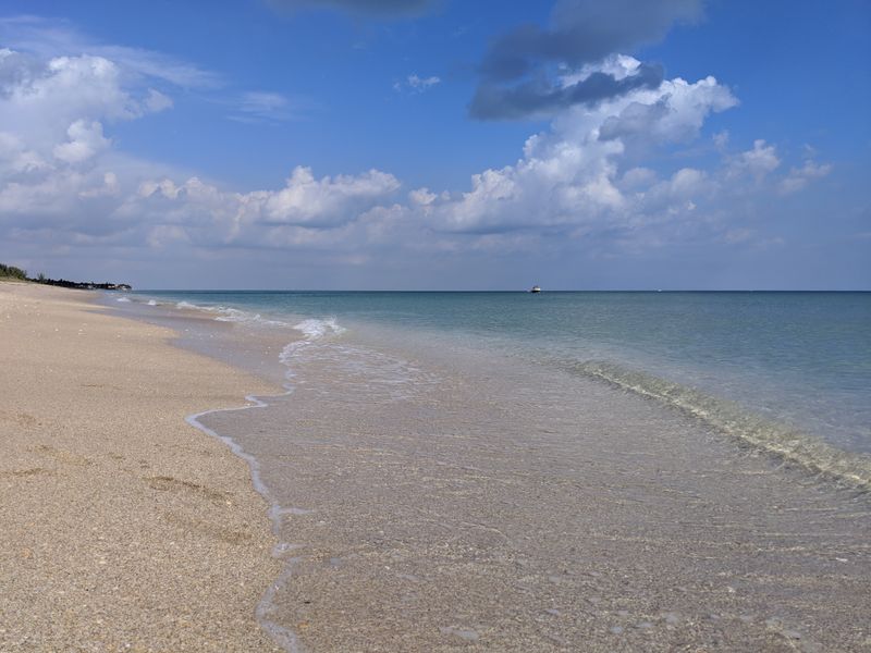 Why Boynton Beach? The Rare Manta Ray Nursery on Florida’s Coast